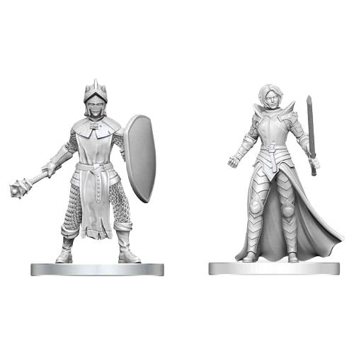 Dungeons and Dragons Nolzur`s Marvelous Unpainted Miniatures: W29 Black Gauntlet and Zhentilar Paladin of Bane